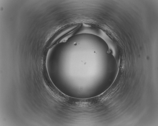 X0000064720448200602171620