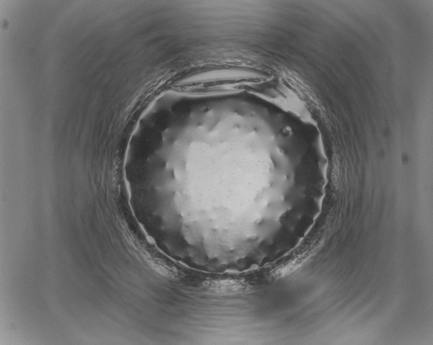 X0000064720449200602171620