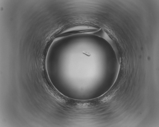 X0000064720450200602171620