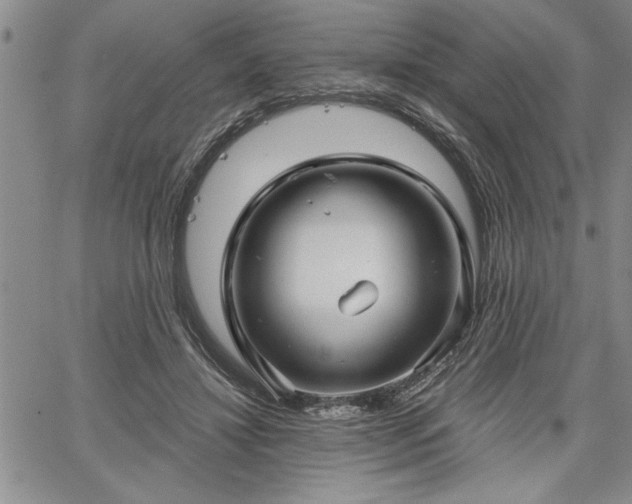 X0000064720452200602171620