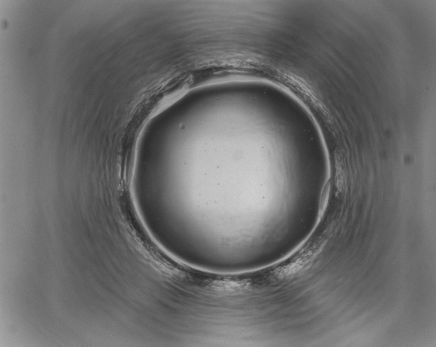 X0000064720453200602171620