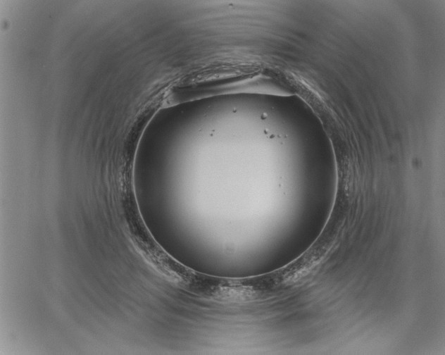 X0000064720455200602171620