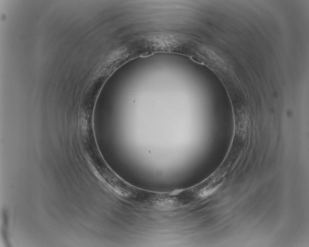 X0000064720456200602171620