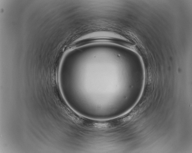 X0000064720457200602171620