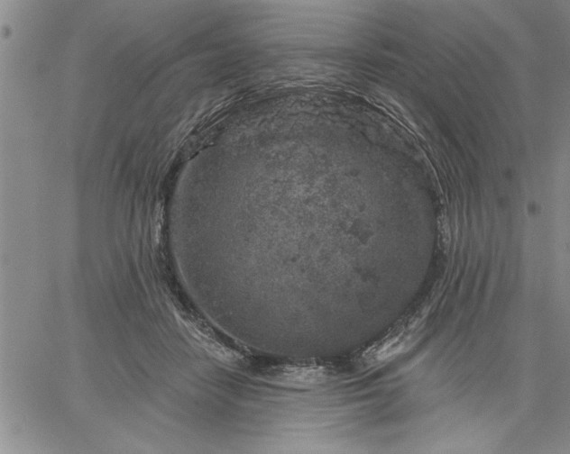 X0000064720458200602171620