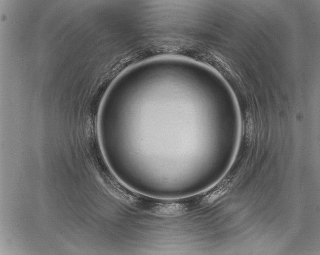 X0000064720459200602171620