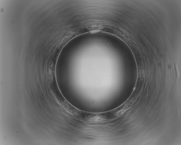 X0000064720460200602171620