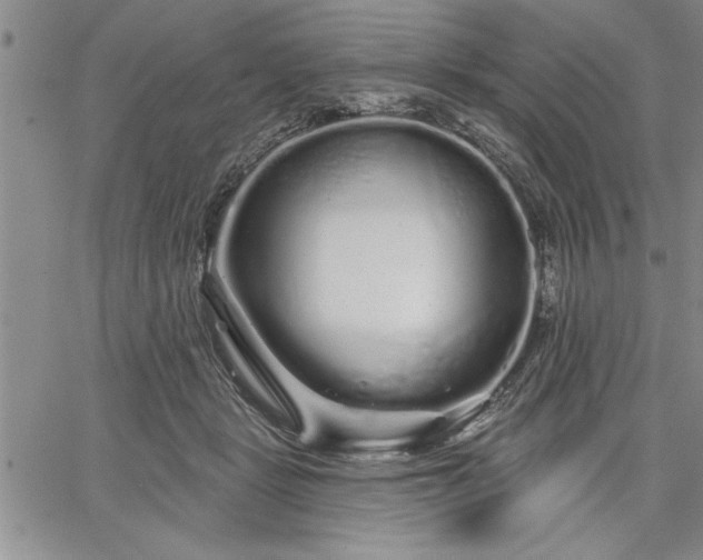 X0000064720461200602171620