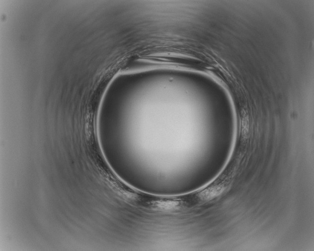 X0000064720462200602171620