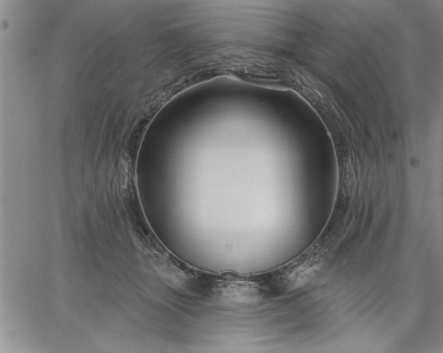 X0000064720463200602171620