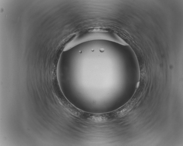 X0000064720464200602171620