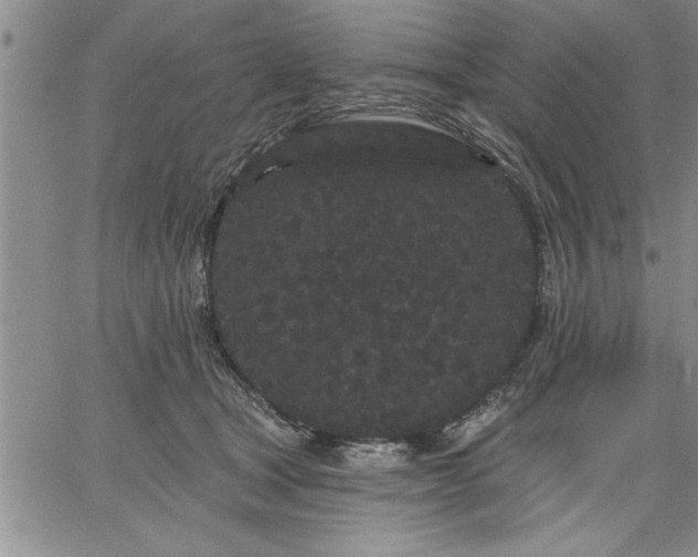 X0000064720465200602171620