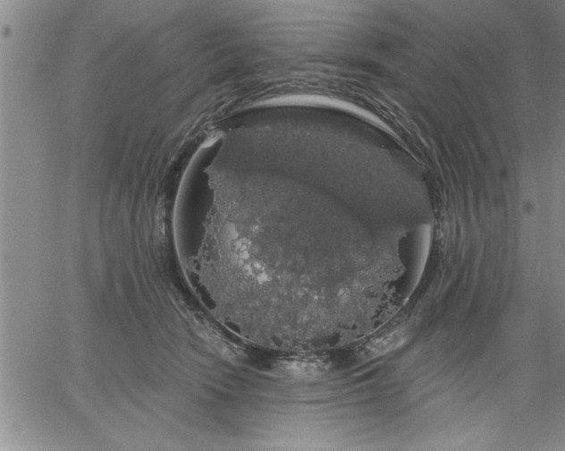 X0000064720466200602171620