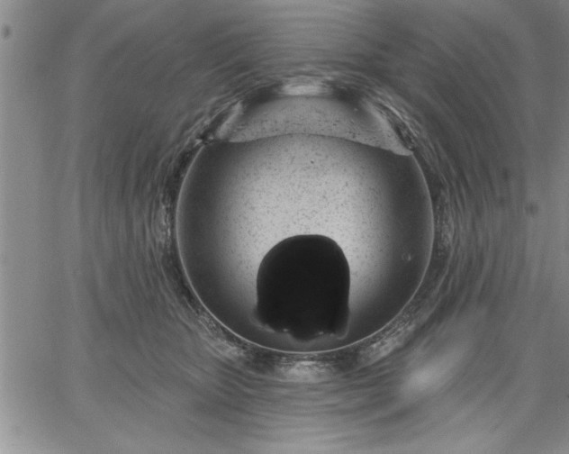 X0000064720467200602171620