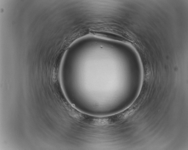 X0000064720469200602171621