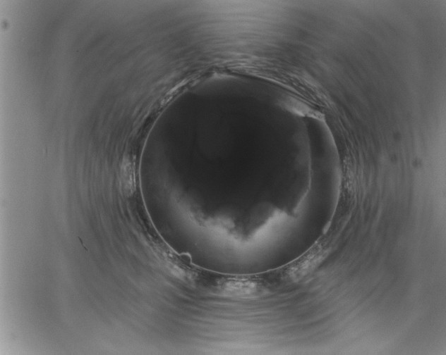 X0000064720471200602171621