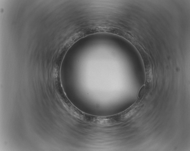 X0000064720472200602171621