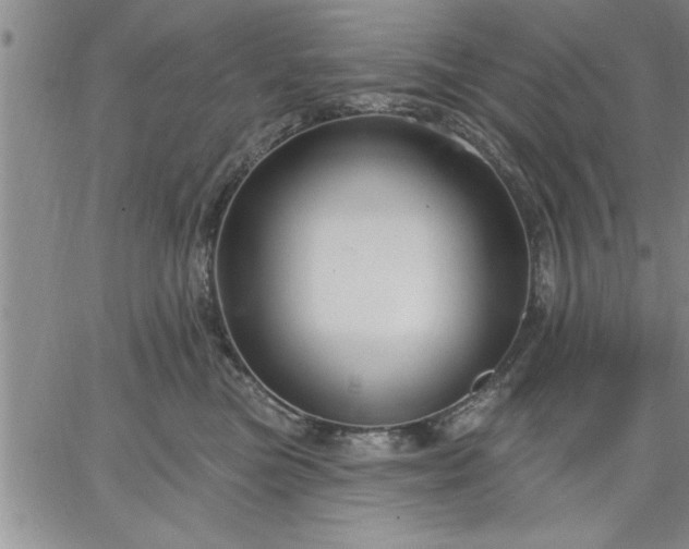 X0000064720473200602171621