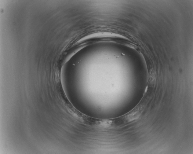 X0000064720474200602171621