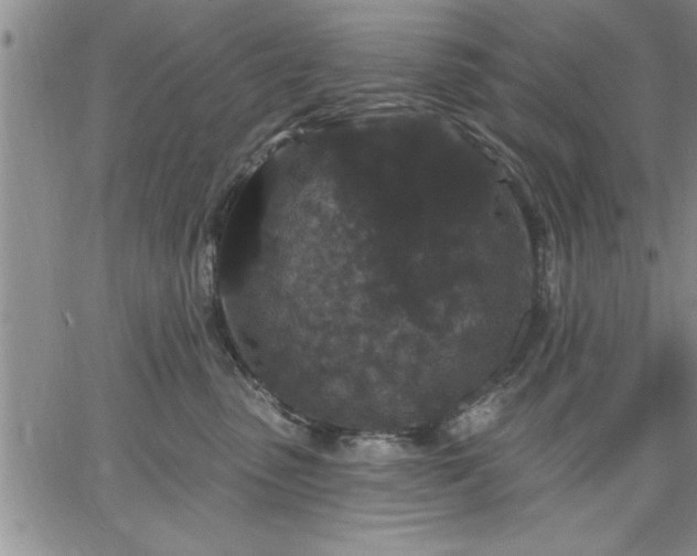 X0000064720475200602171621