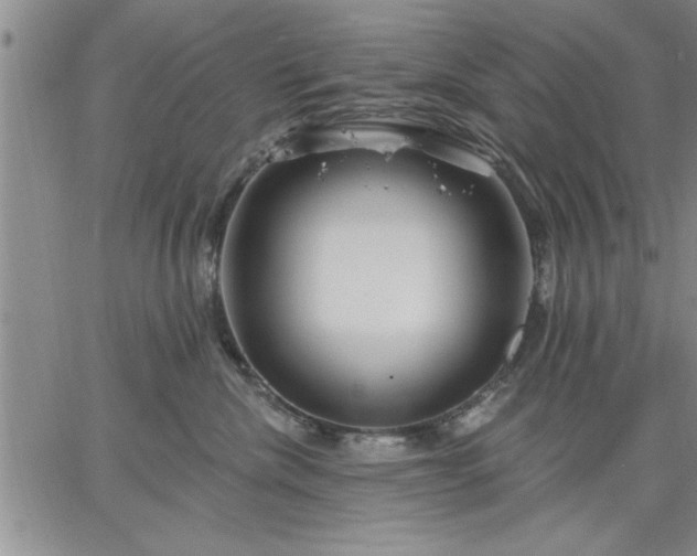 X0000064720476200602171621