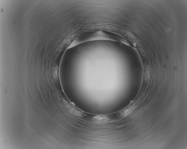 X0000064720477200602171621