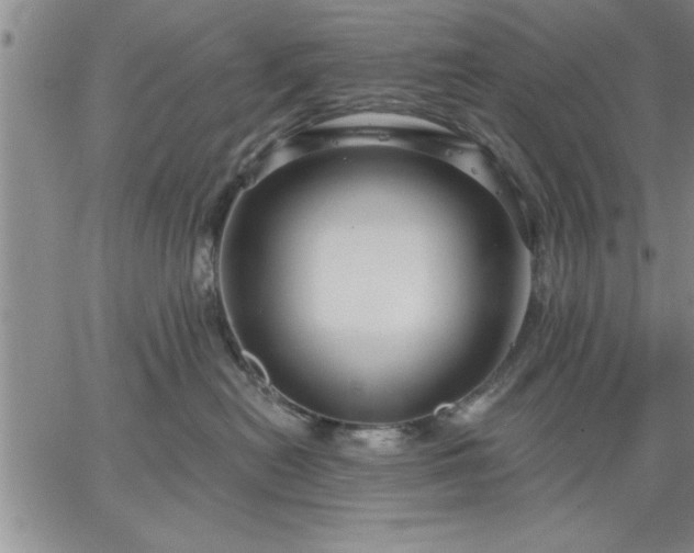 X0000064720478200602171621