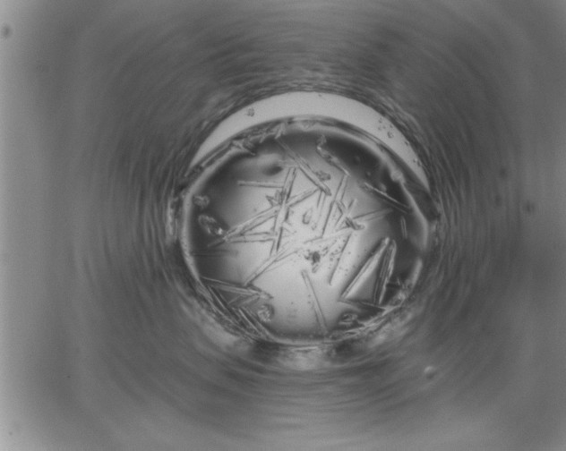 X0000064720479200602171621