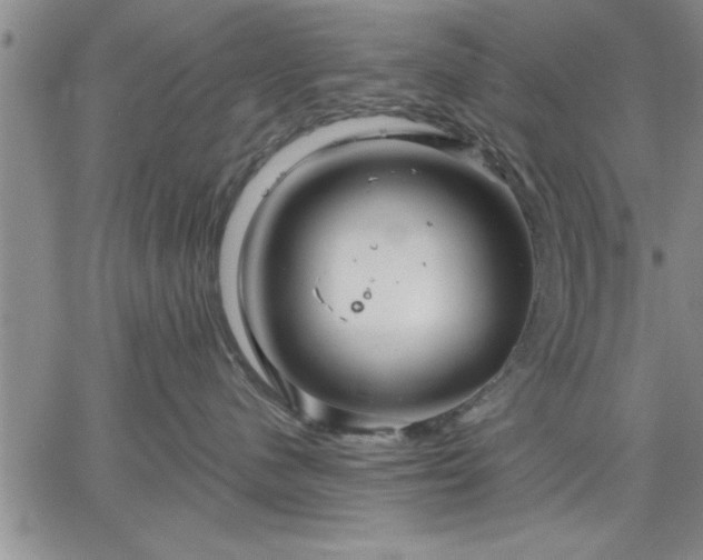 X0000064720480200602171621