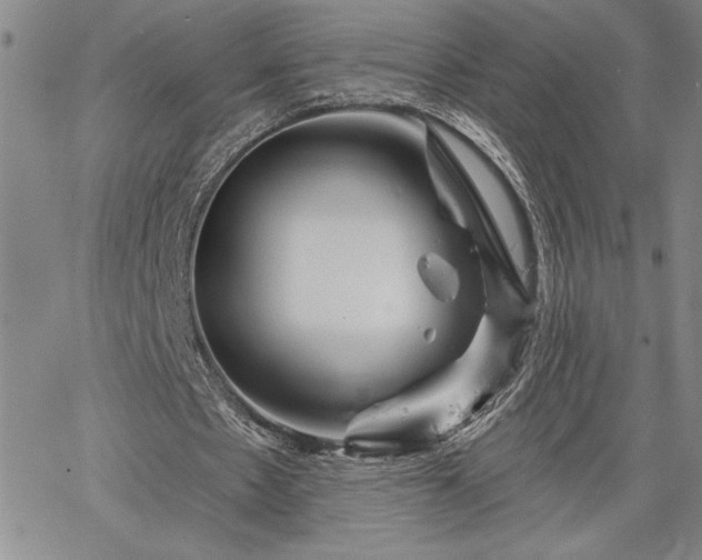 X0000064720481200602171620