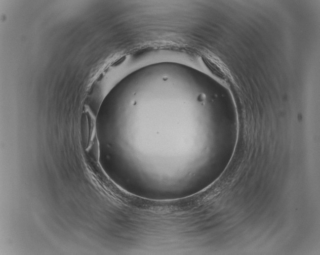 X0000064720482200602171620