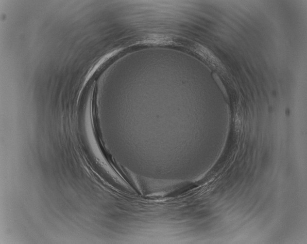 X0000064720484200602171620