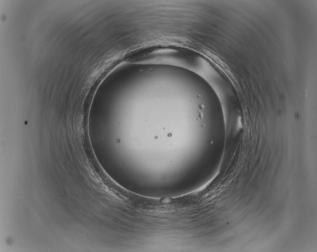 X0000064720485200602171620