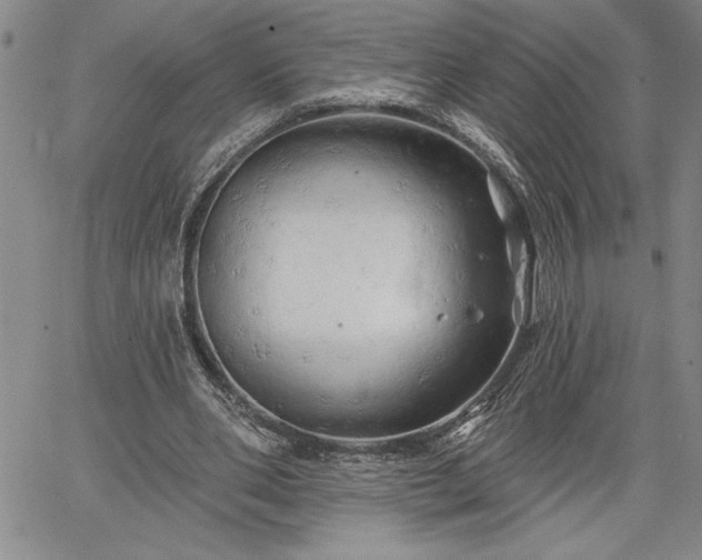 X0000064720486200602171620