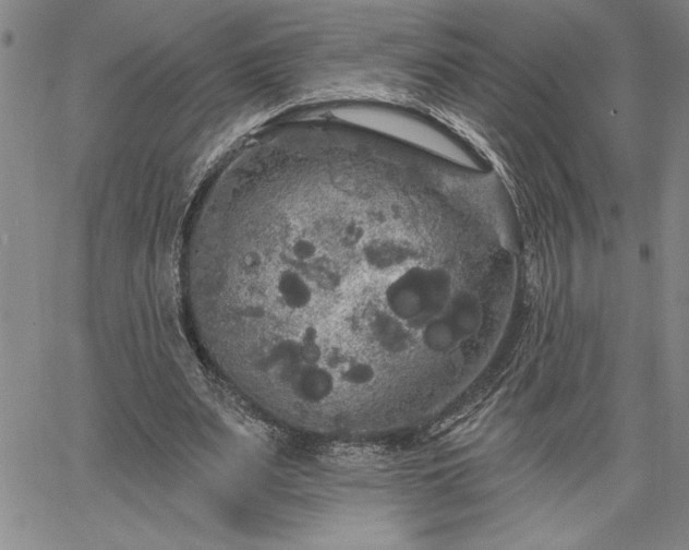 X0000064720487200602171620