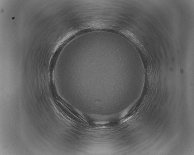 X0000064720488200602171620