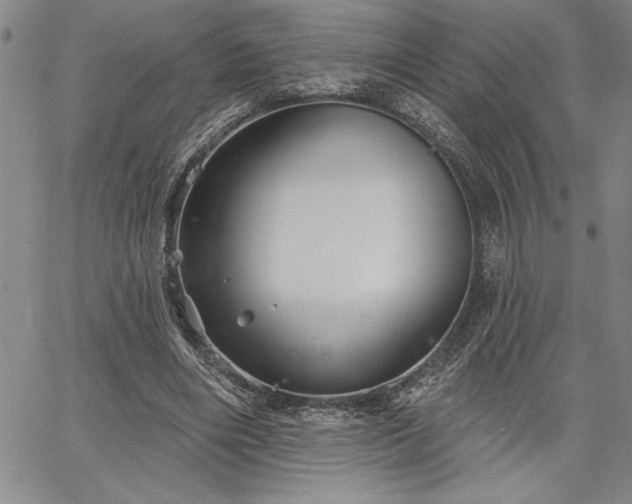 X0000064720490200602171620