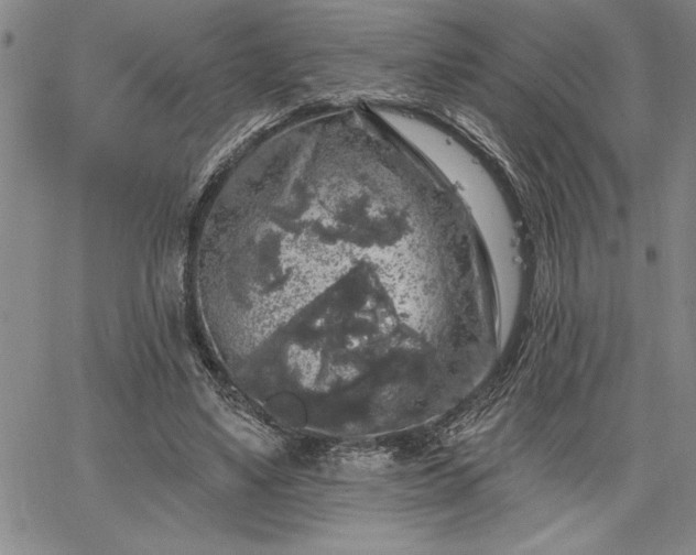 X0000064720491200602171620