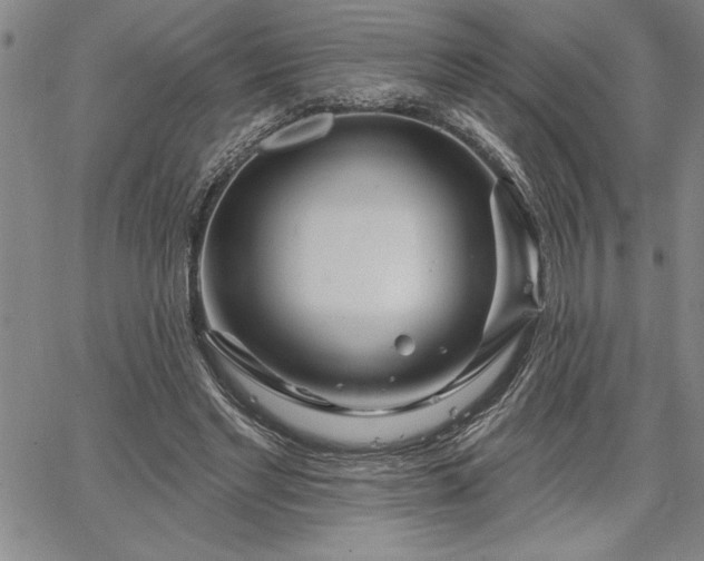 X0000064720493200602171620