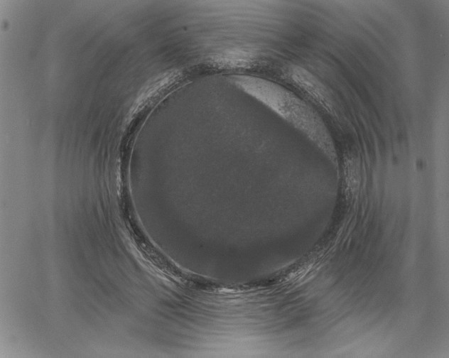 X0000064720494200602171620