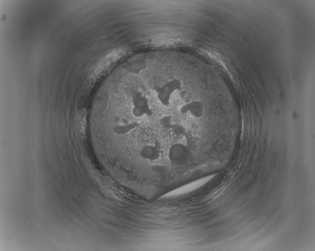 X0000064720495200602171620