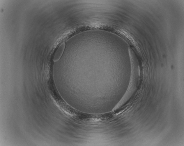 X0000064720496200602171620