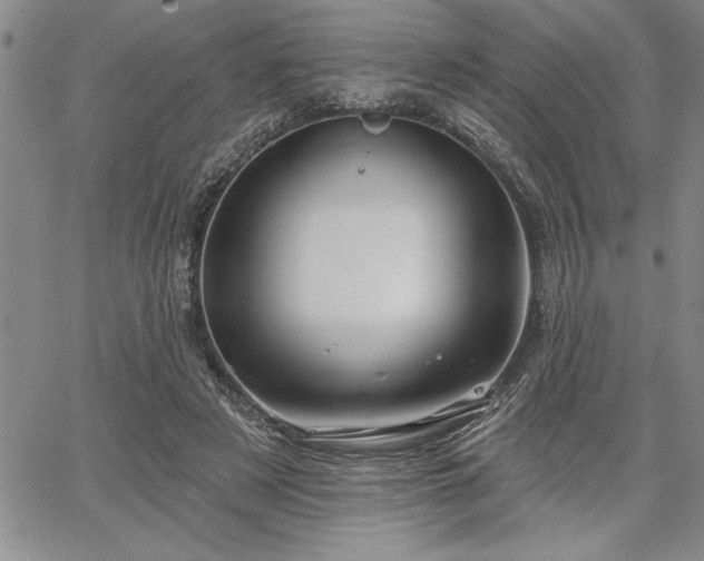 X0000064720497200602171620