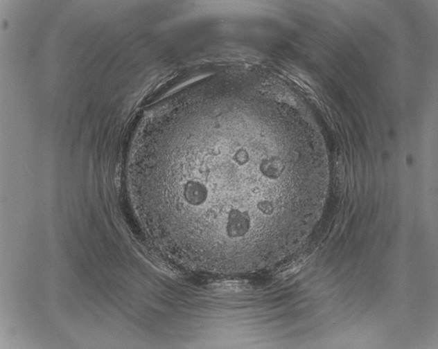 X0000064720499200602171620