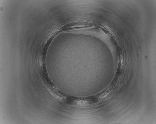 X0000064720500200602171620