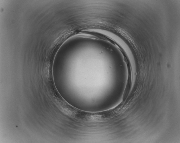 X0000064720501200602171620