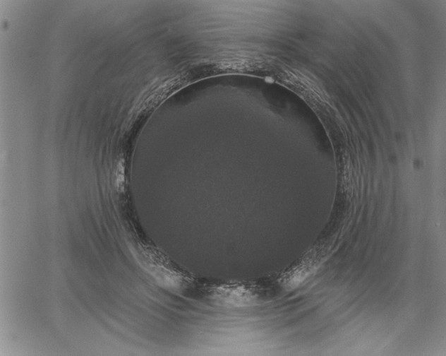 X0000064720502200602171620