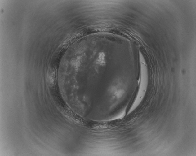 X0000064720503200602171620