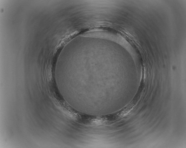 X0000064720504200602171620