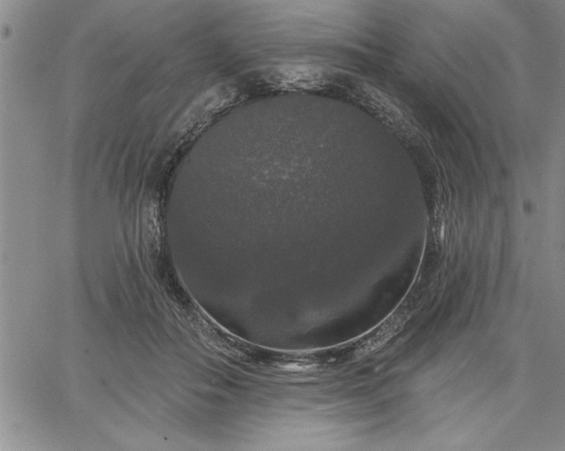 X0000064720506200602171620